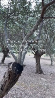 Tag 6.
Ich zeige meine Bilder mit dem Ziel, 2026 mit echten Herzenshochzeiten zu füllen.
Mit Paaren, die meine Arbeit fühlen und Vertrauen spüren.
Das ist der Anfang. 🤍

#hochzeitsfotografin #ausgebucht2026 #hochzeitsplanung2026 #weddingphotographer #hochzeitsfotografie #verlobt #weddingvibes #brideandgroom #heiraten2026 #sichtbarkeitfürfotografen #melaniehinterreiterphotography #austrianweddingphotographer #heirateninösterreich